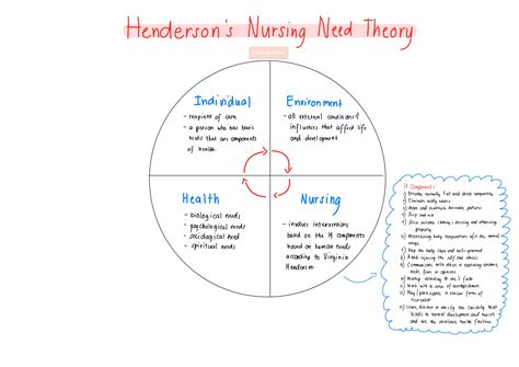 [Solved] please develop and illustrate a simple conceptual model on nursing.... | Course Hero