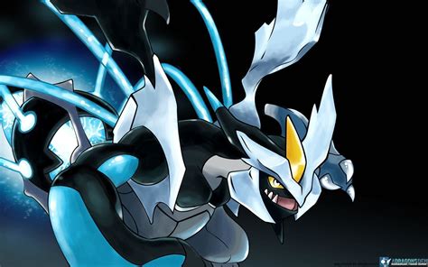 Pokemon Black and White Wallpaper (82+ images)