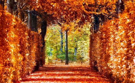 6 Places In Europe Where You Can Experience Autumn Like Nowhere Else In The World