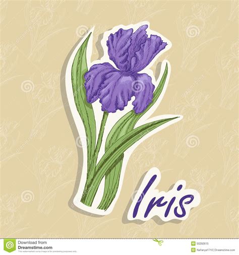 Fond De Vecteur Avec Une Fleur Illustration De Dessin De Main D'un Iris Illustration Stock ...