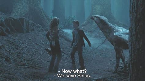 Harry Potter and Hermione go back in time to save Buckbeak | Prisoner ...