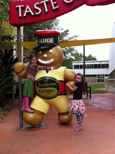 The Ginger Factory Yandina - have you been? | Sunshine coast, Buderim, Holiday