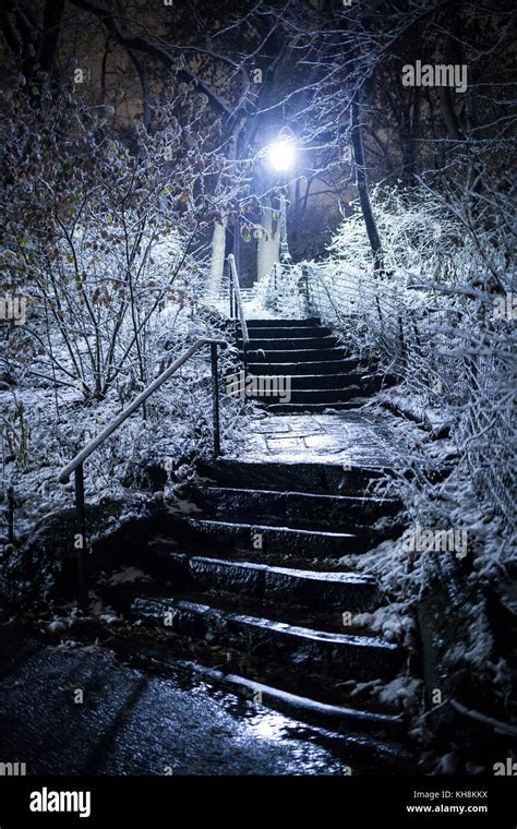 Winter night in central park Stock Photo - Alamy