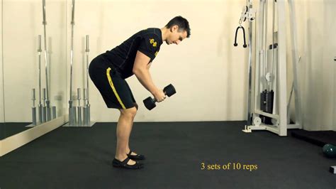 Bent Over Dumbbell Reverse Fly - YouTube