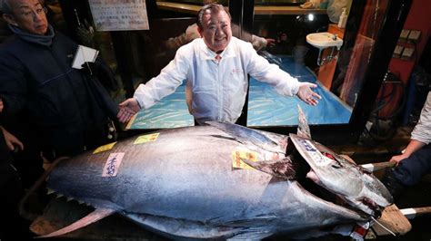 'Sushi king' spends nearly $1.8M for 1st giant bluefin tuna of 2020 - Good Morning America