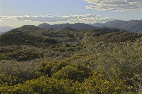 Central Coast Wild | Los PadresCentral Coast Wild Heritage