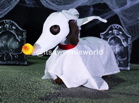 Nightmare Before Christmas Costumes For Dogs