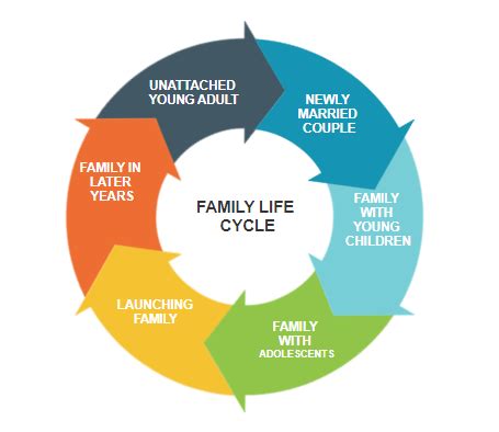 [Solved] Family Life Cycle Stage I need the Key Principles of Emotional ...