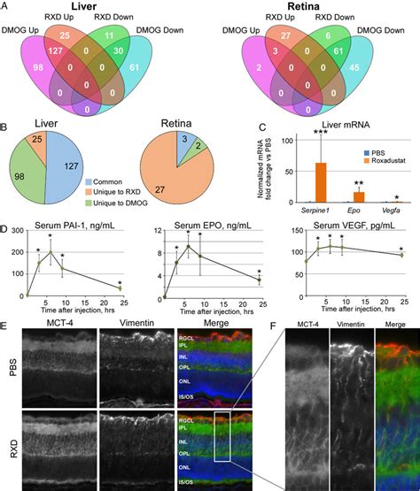 Identification and validation of gene expression similarities and ...