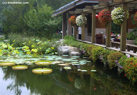 Beijing Botanical Garden, Beijing (120 photos) part 2