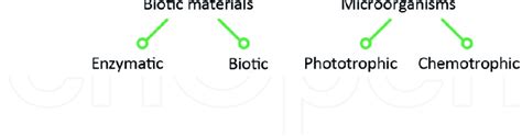 Categories for electrode materials. | Download Scientific Diagram