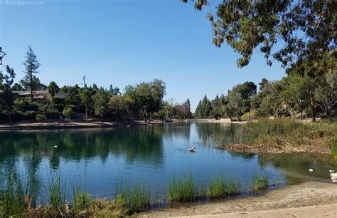 Laguna Lake Park Day Trip Fullerton's Hidden Gem