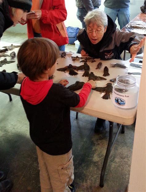 The Bird in Hand Festival — Whidbey Audubon Society