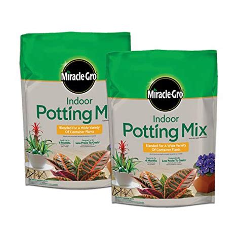 Best Potting Soil For Indoor Plants (2024) - Houseplant Advisor