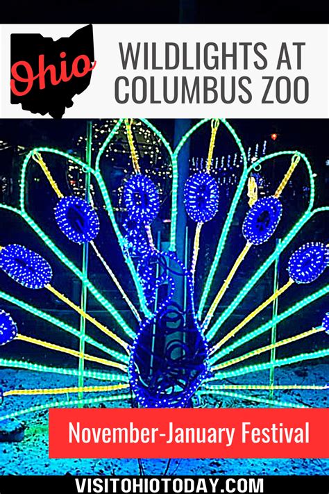 Wildlights at Columbus Zoo - Visit Ohio Today