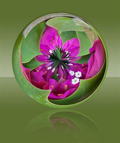 The flower glass sphere by matthandi / 500px in 2020 | Globus kunst, Wassertropfen, Glaskugel