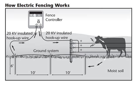 Electric Fence Circuit Diagrame