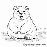 Gopher Coloring Pages  Free & Printable sketch template