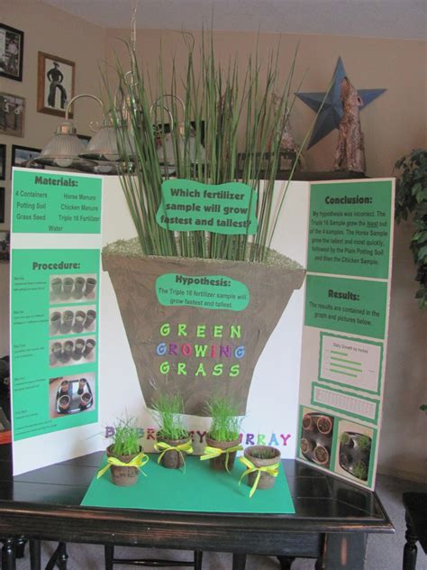 Brailey's Fifth Grade Science Fair Project - Green Growing Grass ...