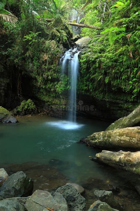 El Yunque Falls and Pool stock photo. Image of trees - 13870544