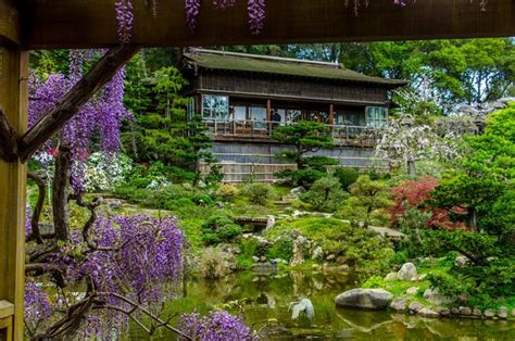 Celebrate National Gardening Week at Hakone Estate and Gardens | Saratoga, CA Patch