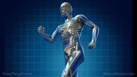 Beyond calcium: 6 Supplements that promote bone health – NaturalNews.com