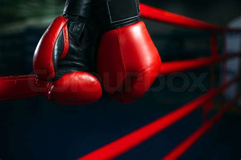 Gloves on the ring ropes, boxing concept, nobody | Stock image | Colourbox