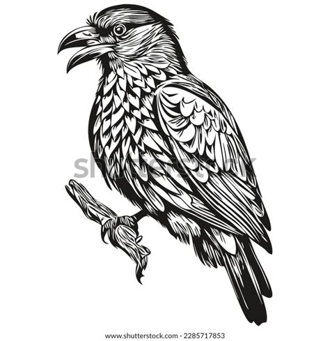 Raven Logo Black White Illustration Hand Stock Vector (Royalty Free ...