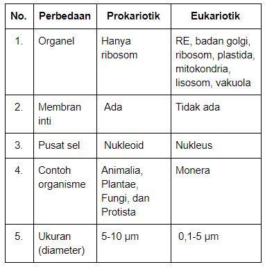 Perbedaan Prokariotik Dan Eukariotik