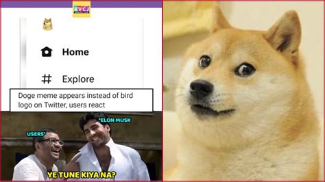 Twitter logo changed to Doge icon sparks meme fest, Twitterati says "Ye ...