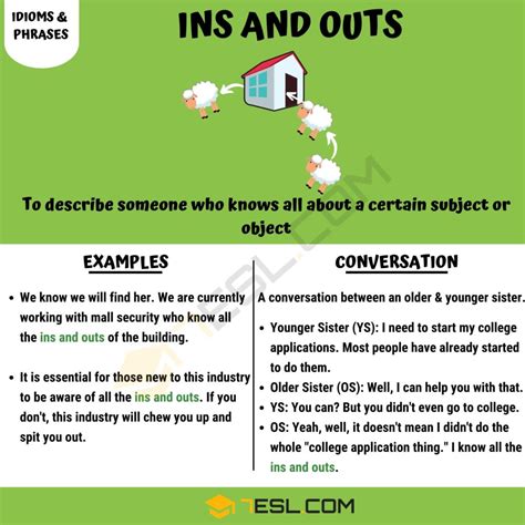 "Ins and Outs" Meaning, Origin and Examples • 7ESL