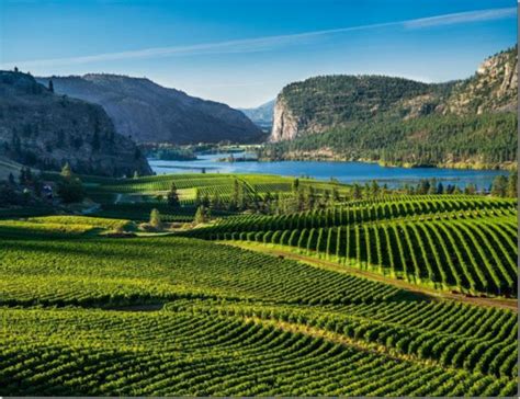 Blue Mountain Vineyard and Cellars Tasting Room Opens for 2016 - My VanCity