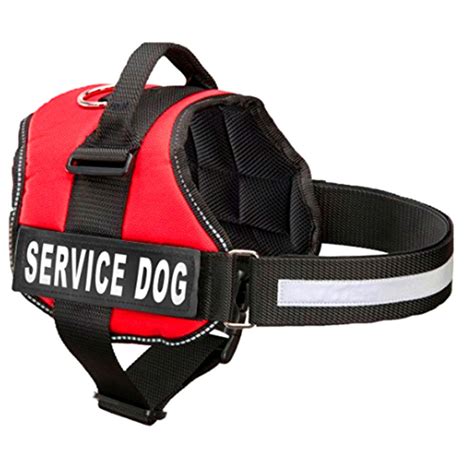 Service Dog Vest | Service Dog and Emotional Support Animal Registration