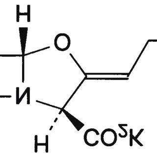 Structure of Potassium Clavulanate. | Download Scientific Diagram