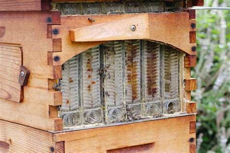 Flow Hives - The Sweet Story - Babylonstoren Blog