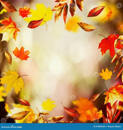 Autumn Background with Beautiful Falling Leaves and Bokeh, Fall Nature in Garden Stock Photo ...