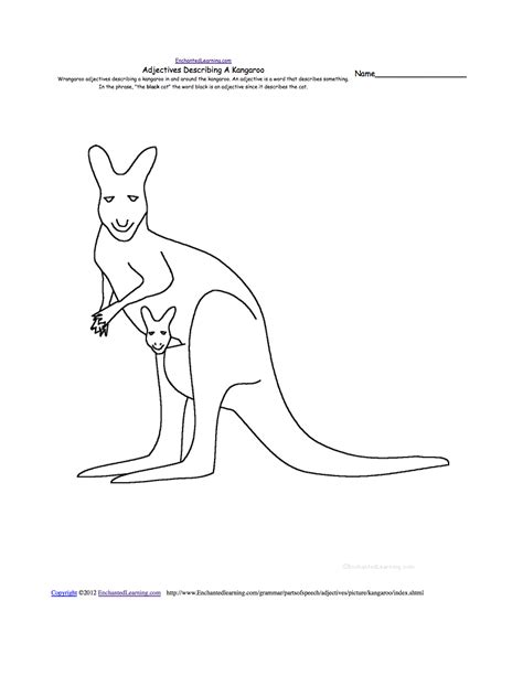 Kangaroo Pouch Anatomy - Anatomical Charts & Posters