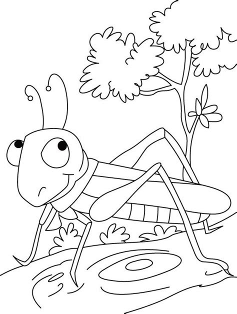 free-grasshopper-printable-painting-pages-for-preschool Insect Coloring Pages, Spring Coloring ...