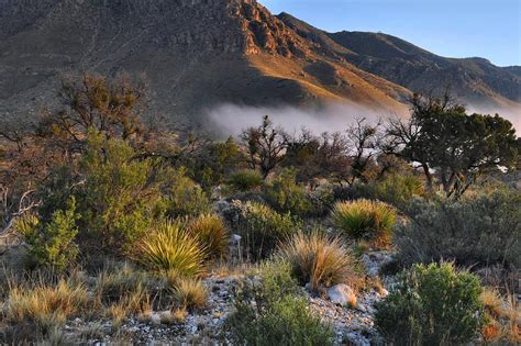 Fog At Sunrise - Guadalupe Mountains Photograph by Stephen Vecchiotti