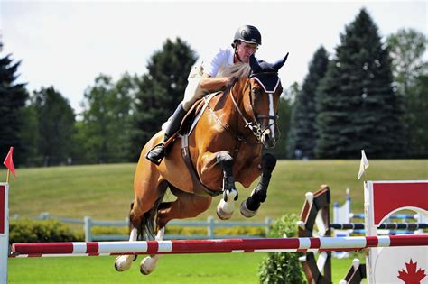 Young Horses Featured at National Capital Show Jumping Tournaments