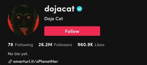 Doja Cat's TikTok PFP May Hint at New Album