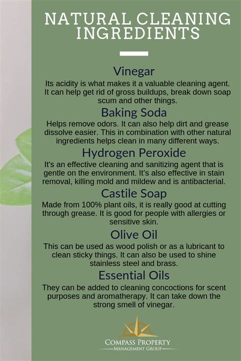 Natural Cleaning Ingredients | Natural cleaning products, Diy cleaning products, Cleaning