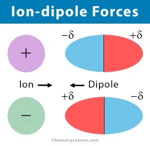 Ion-dipole Forces (Interaction): Definition and Examples