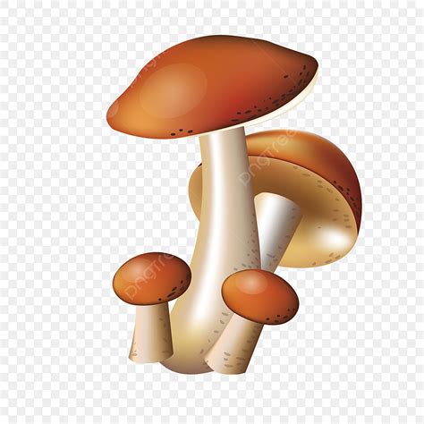 Mushroom Cartoon Clipart Hd PNG, Mushroom Cartoon Cartoon Mushroom Lovely, Mushroom Clipart ...