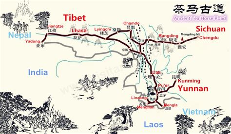 Map of the Ancient Tea Horse Route | Tea history, Asian tea, Tea