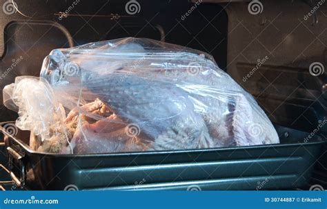 Roasting A Turkey In A Bag Royalty Free Stock Photography - Image: 30744887