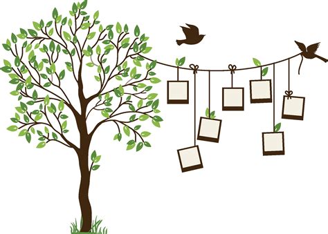 Family tree background - 61 photo