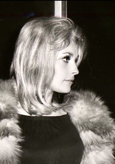 1960’s icon Sharon Tate | Sharon tate, Hollywood, Actresses