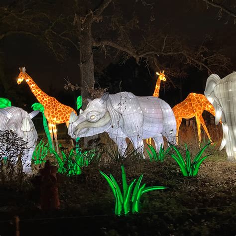 Okc Zoo Christmas Lights | Shelly Lighting