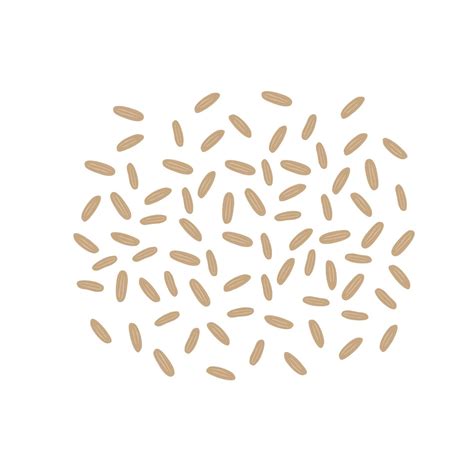 Brown rice seeds. Whole grain rice 3206503 Vector Art at Vecteezy